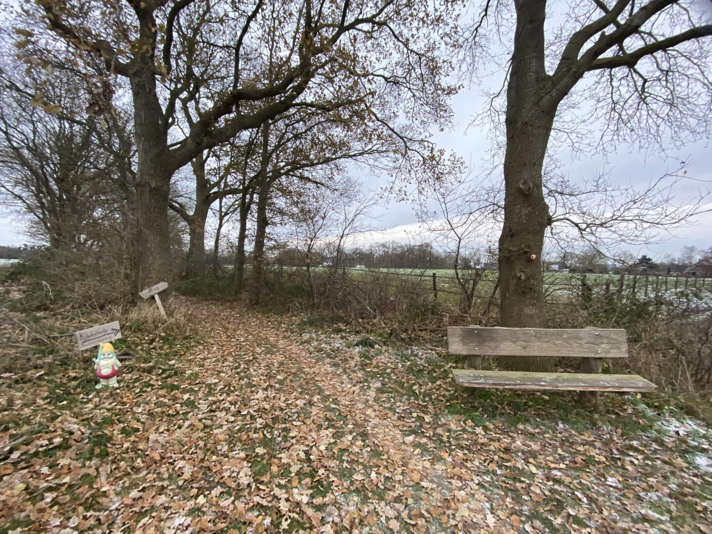Een bankje onder de eiken langs een zandpad
