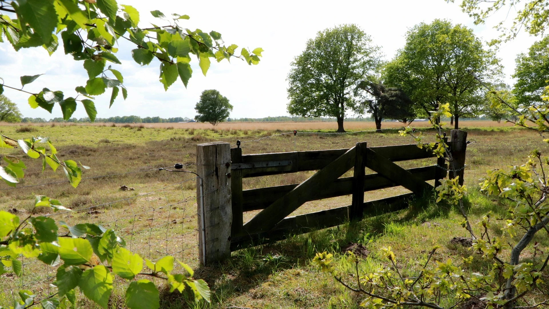 Een houten hek aan de rand van de heide