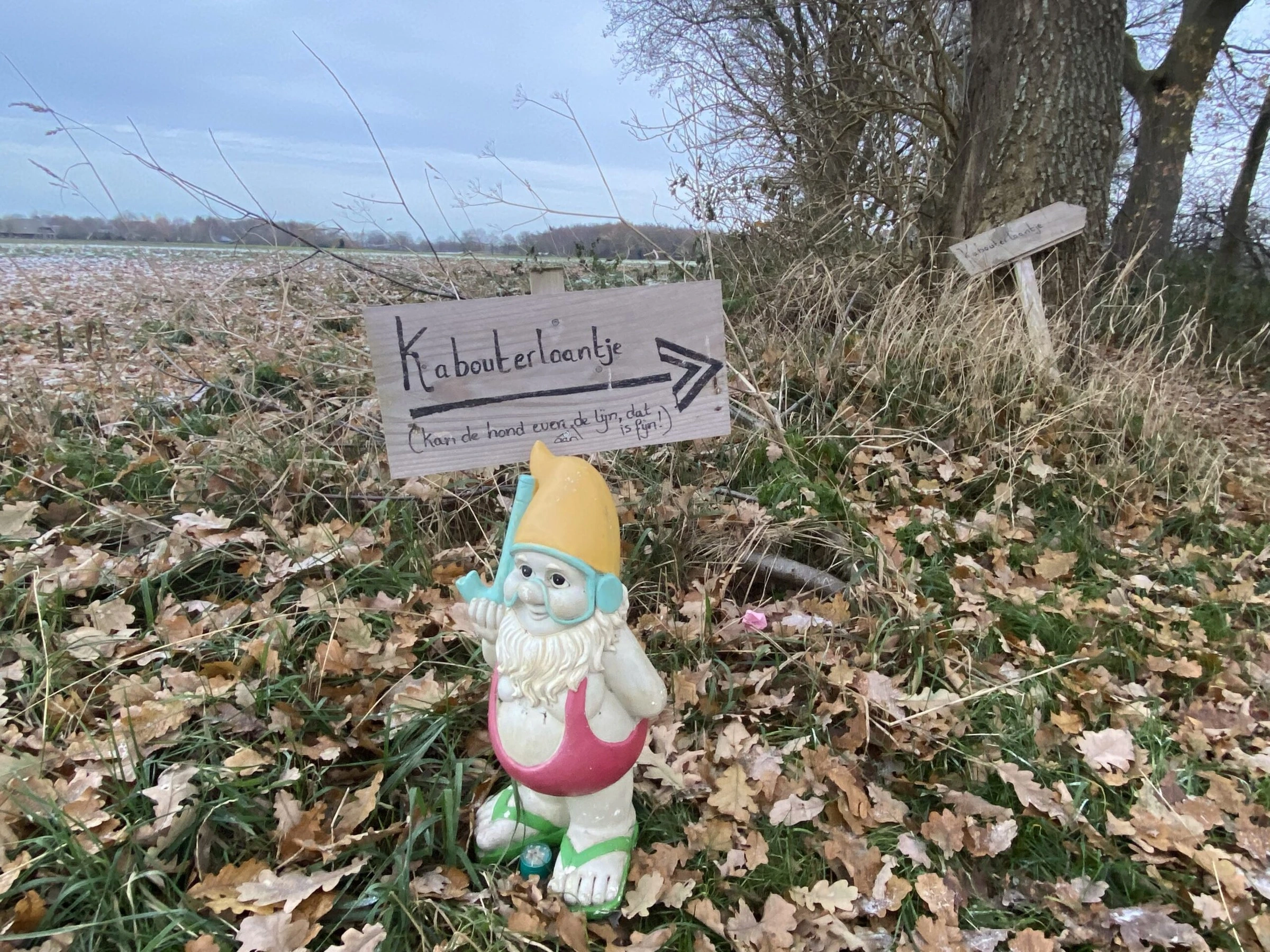 Een kabouter en een bordje bij het Kabouterlaantje in Holthe